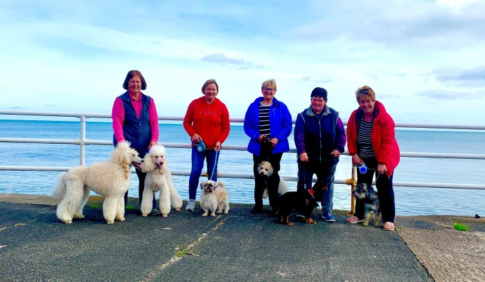 Group of women walking dogs by the sea. 
